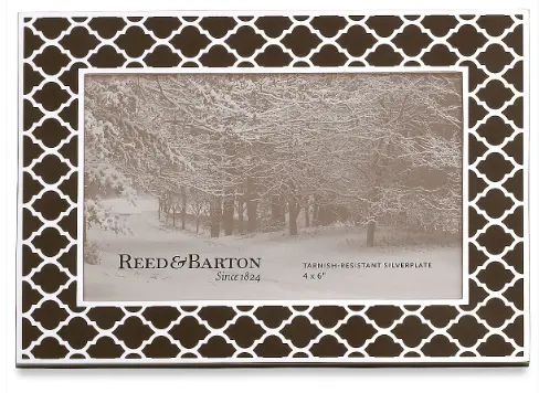 Silver Plate 4X6  Kasbah Espresso Frame 1
