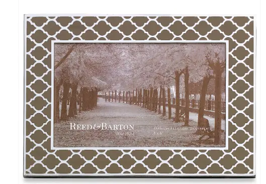 Silver Plate 4X6 Kasbah Mocha Frame 1
