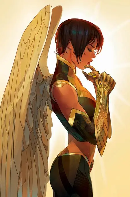 Hawkgirl #1 (Of 6) Cvr C Otto Schmidt Card Stock Var 2