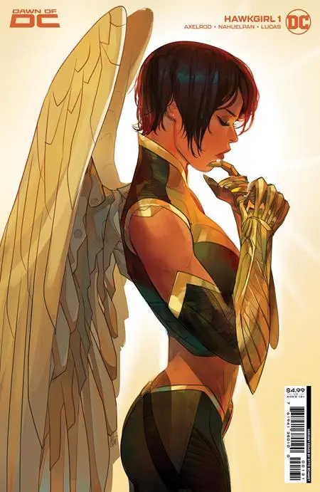 Hawkgirl #1 (Of 6) Cvr C Otto Schmidt Card Stock Var 1