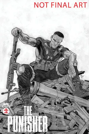 Marvel Knights Punisher #2 Tbd Artist Variant 1
