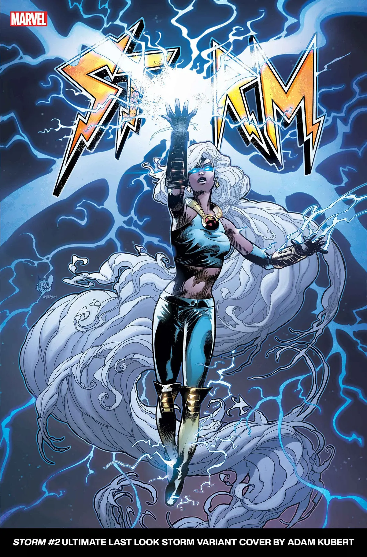 Storm #2 (Of 5) Adam Kubert Ultimate Last Look Variant 1