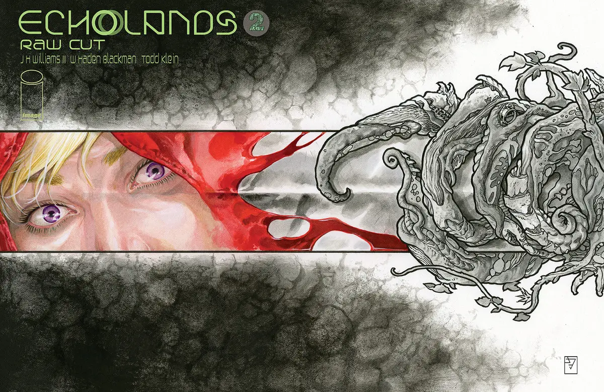 Echolands Raw Cut Ed #2 Cvr A Williams Iii (Mr) 1