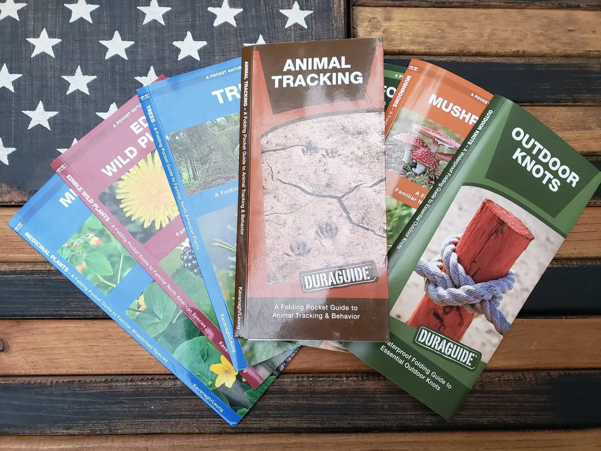 Animal Tracking (Laminated) 1