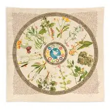 Bandana | Foraging Field Reference 1