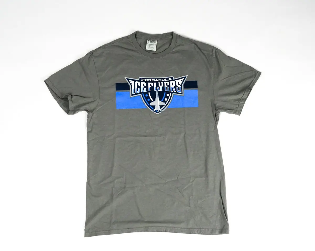 Striped Shield Logo Grey T-Shirt 1