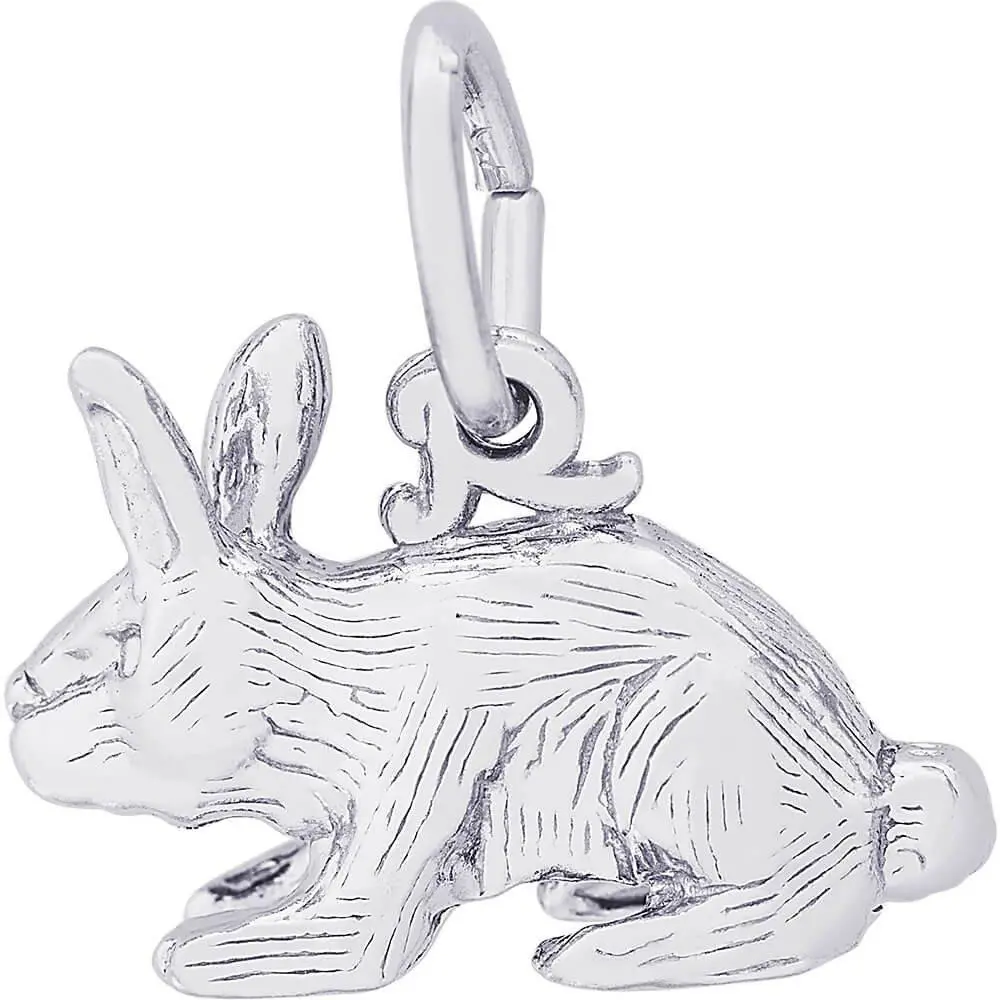 Sterling Silver The Rabbit Charm 1