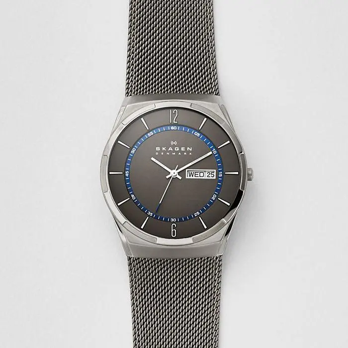 Titanium Skagen Gray Steel-Mesh Day-Date Watch 1