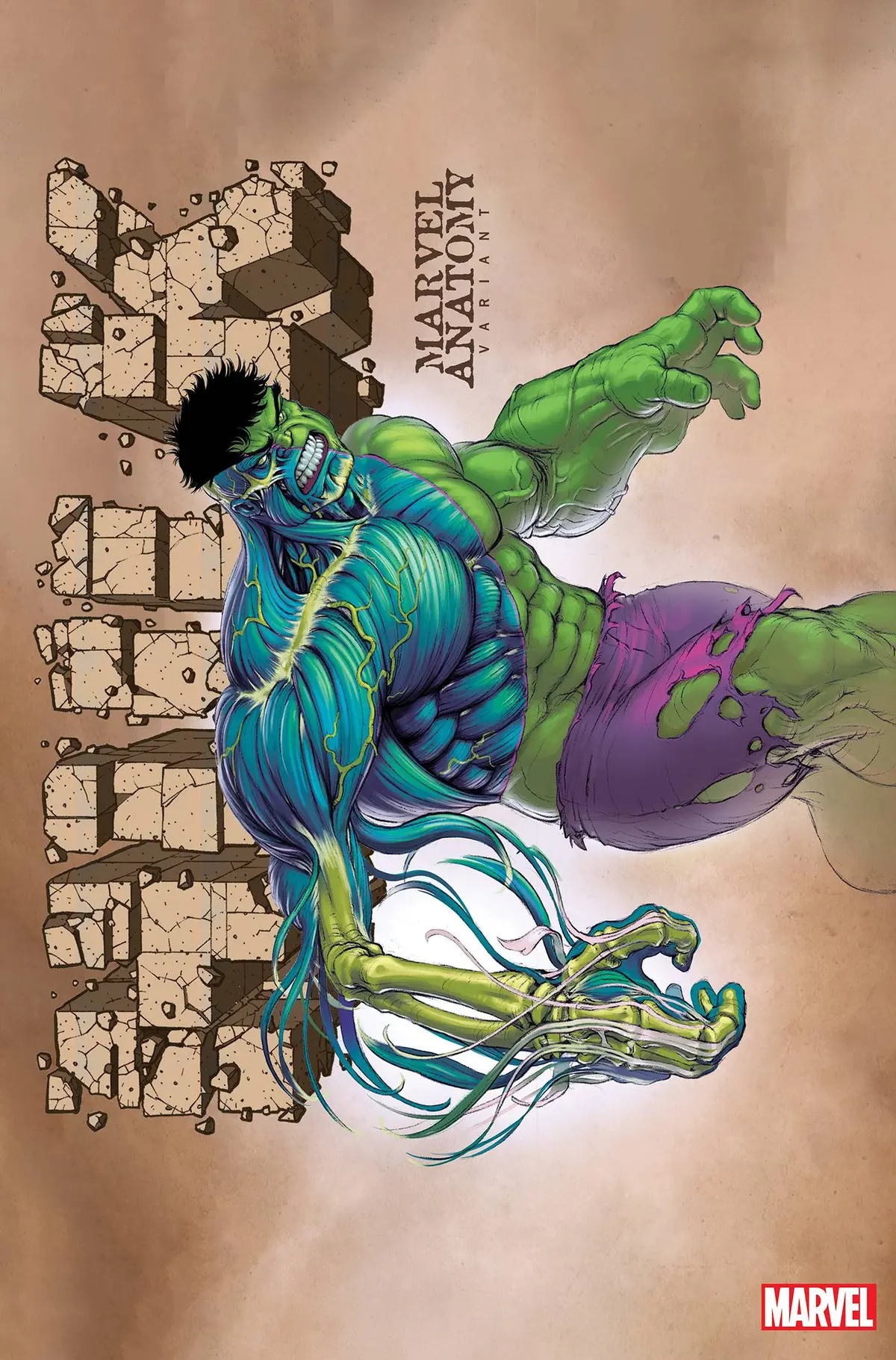 Hulk #11 Marvel Anatomy Lobe Var 1