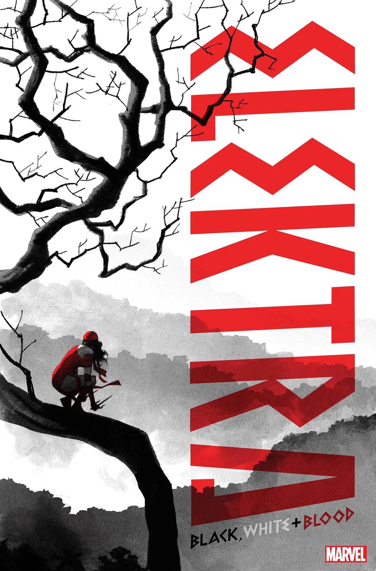 Elektra Black White Blood #2 (Of 4) Smallwood Var 1