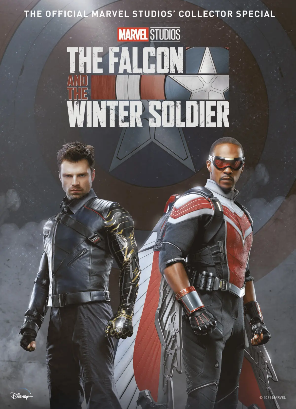 Marvel Falcon & Winter Soldier Special Hc 1