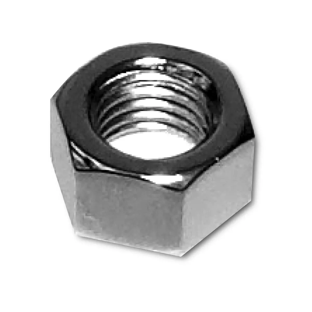 Gardner-Westcott Stainless Steel Nuts – Corrosion-Resistant Fastening Solutions 1
